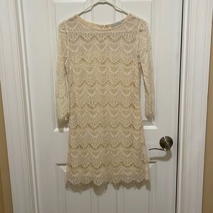 Lined lace long sleeve dress